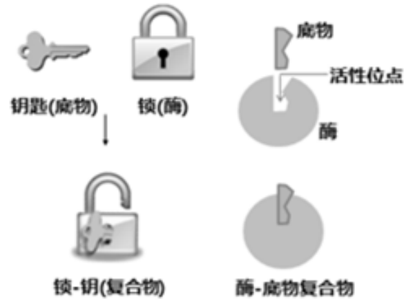 _images/95.png